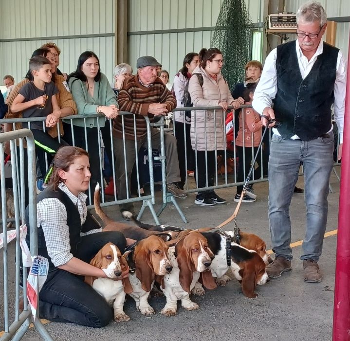 des Cotes de la Saunade - MEILLEURE MEUTE À MONCLAR 