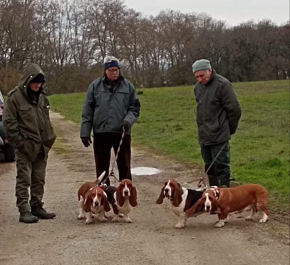 des Cotes de la Saunade - 27/01/2023 de nouveaux brevets !