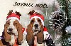  - JOYEUX NOËL À TOUS !!!