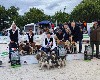  - GRAND PRIX DU CHIEN DE CHASSE 