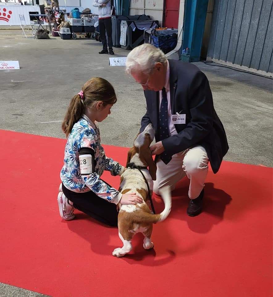 des Cotes de la Saunade - De beaux résultats en expo Internationale... 