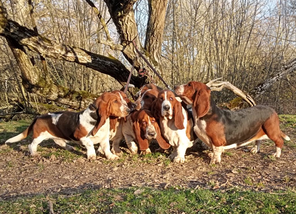 des Cotes de la Saunade - 18/03/2023 Dernier Brevet de la saison 