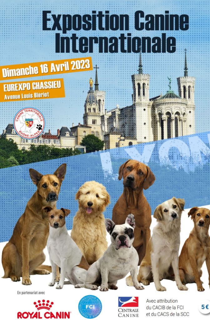 des Cotes de la Saunade - IDS LYON 2023