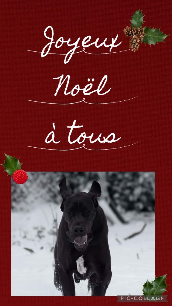 JOYEUX NOËL À TOUS !!!