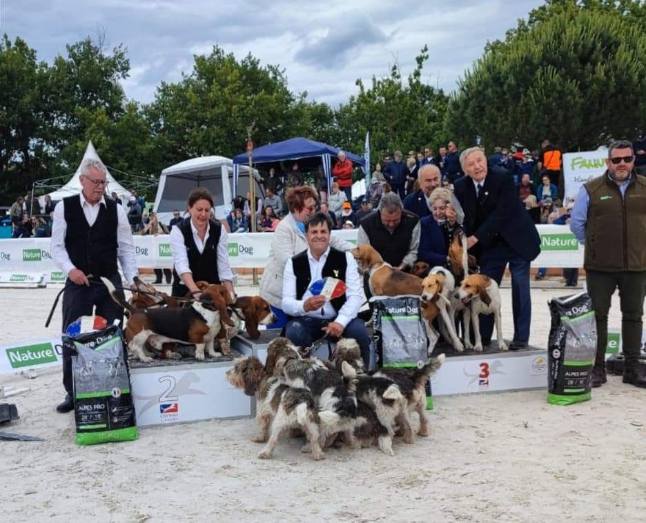 GRAND PRIX DU CHIEN DE CHASSE 