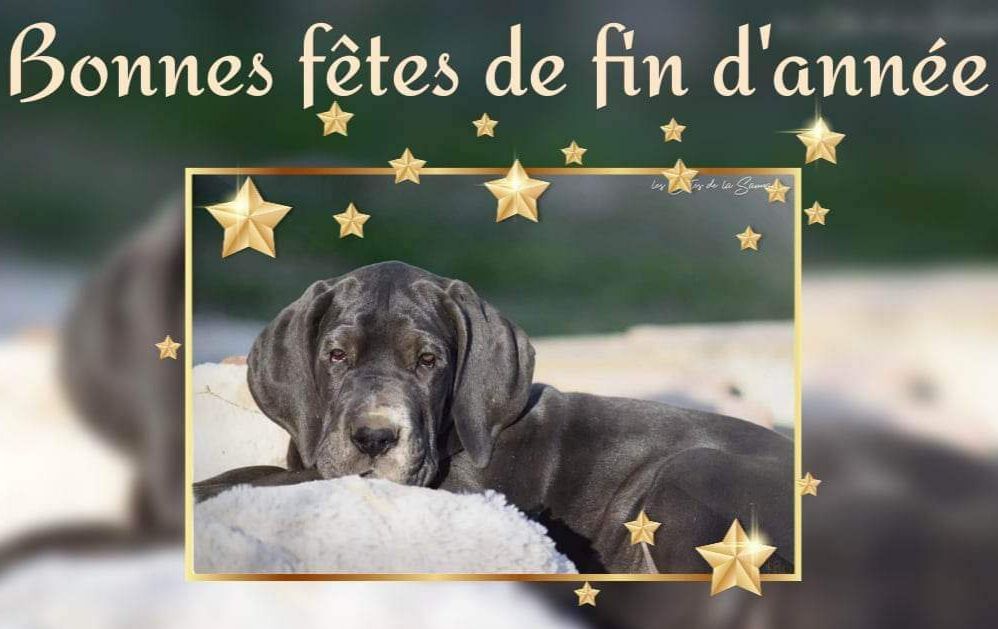 Bonnes fêtes de fin d'année 