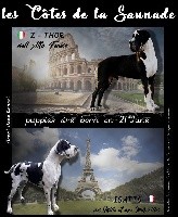 OMNIA des Côtes de la Saunade 